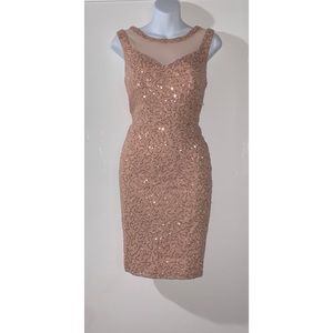 Sequins Bodycon Dress